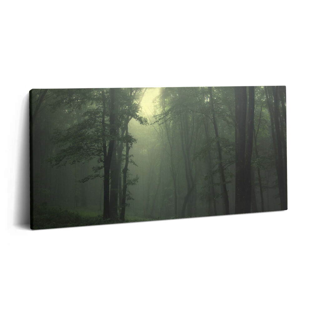 Imprimare tablou canvas 120x60 Pădurea încețoșată dimineața