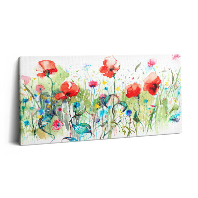 Imprimare tablou canvas 120x60 Maci în pajiște