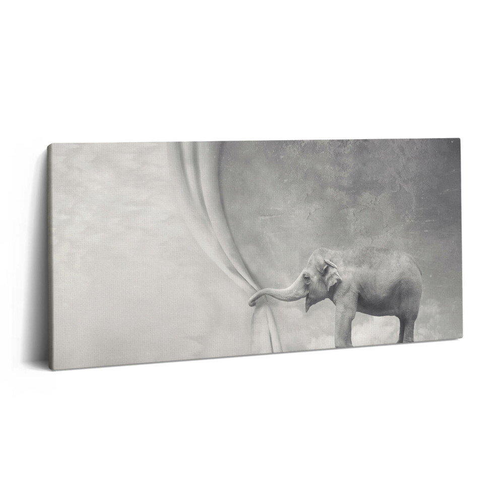 Imprimare tablou canvas 120x60 Elefantul din spatele cortinei