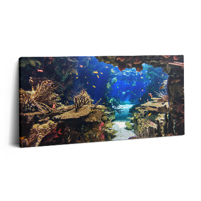 Imprimare tablou canvas 120x60 Acvariu