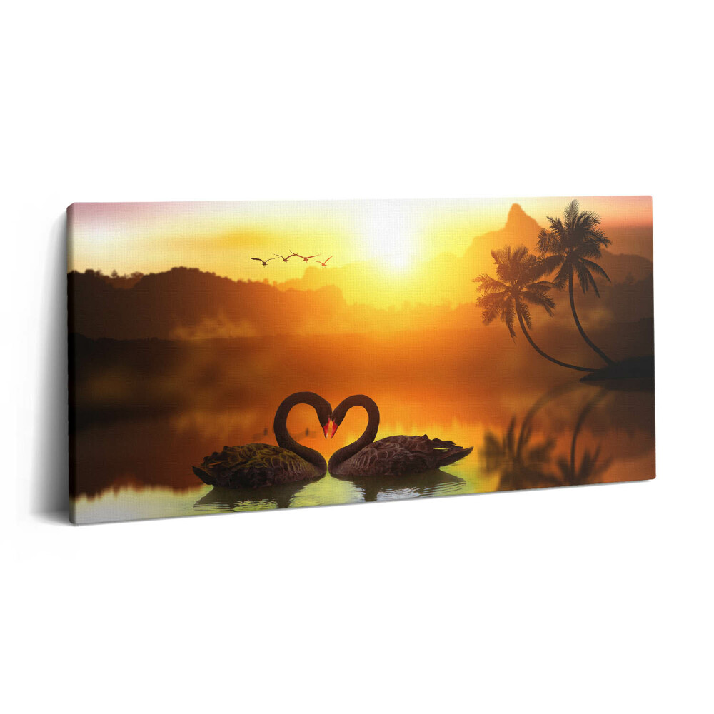 Imprimare tablou canvas 120x60 Frumoasă lebădă neagră pe lac