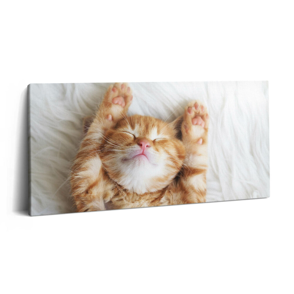 Imprimare tablou canvas 120x60 Pisicuță adormită