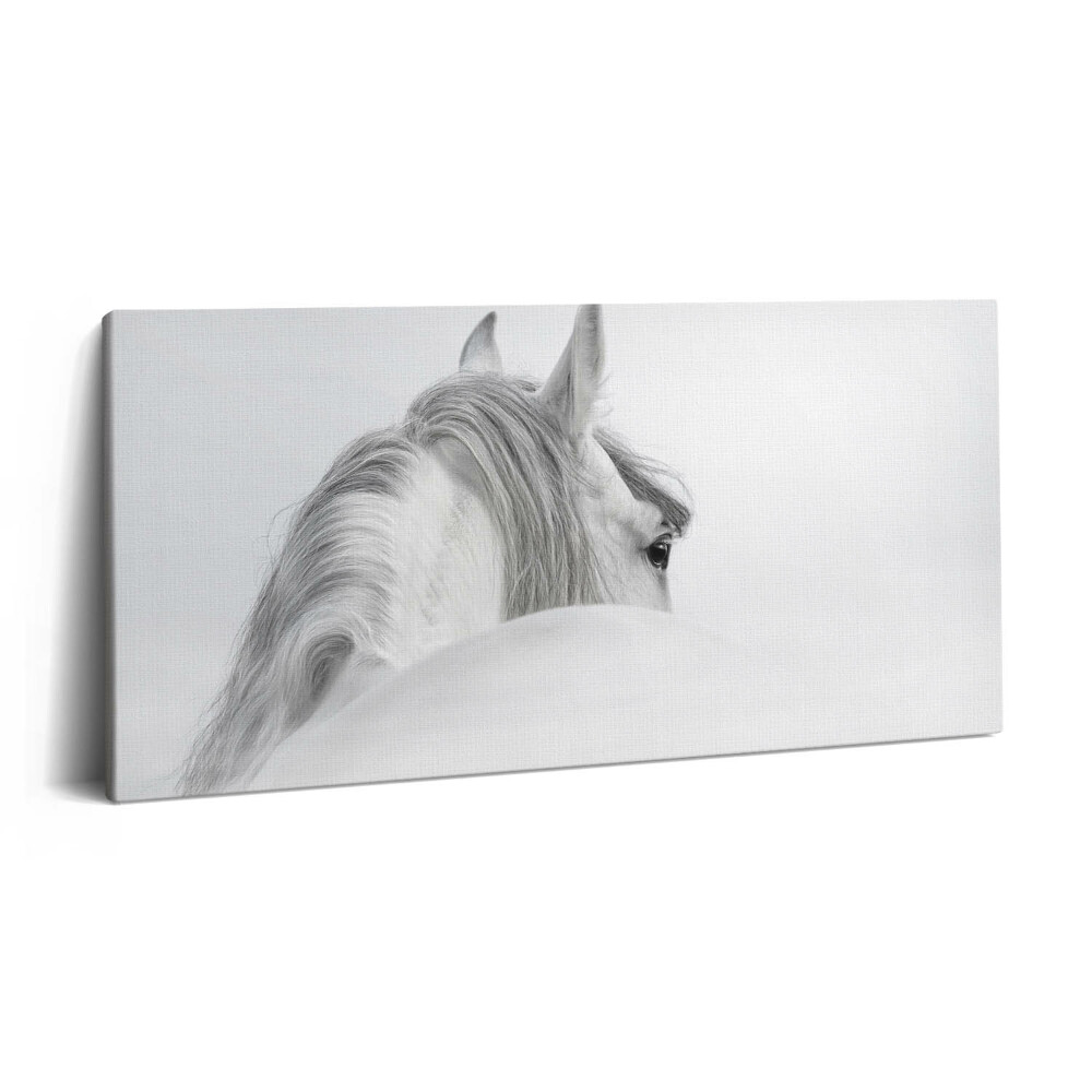 Imprimare tablou canvas 120x60 Cal andaluz în ceață