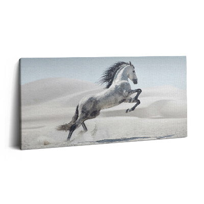 Imprimare tablou canvas 120x60 Cal alb galopant