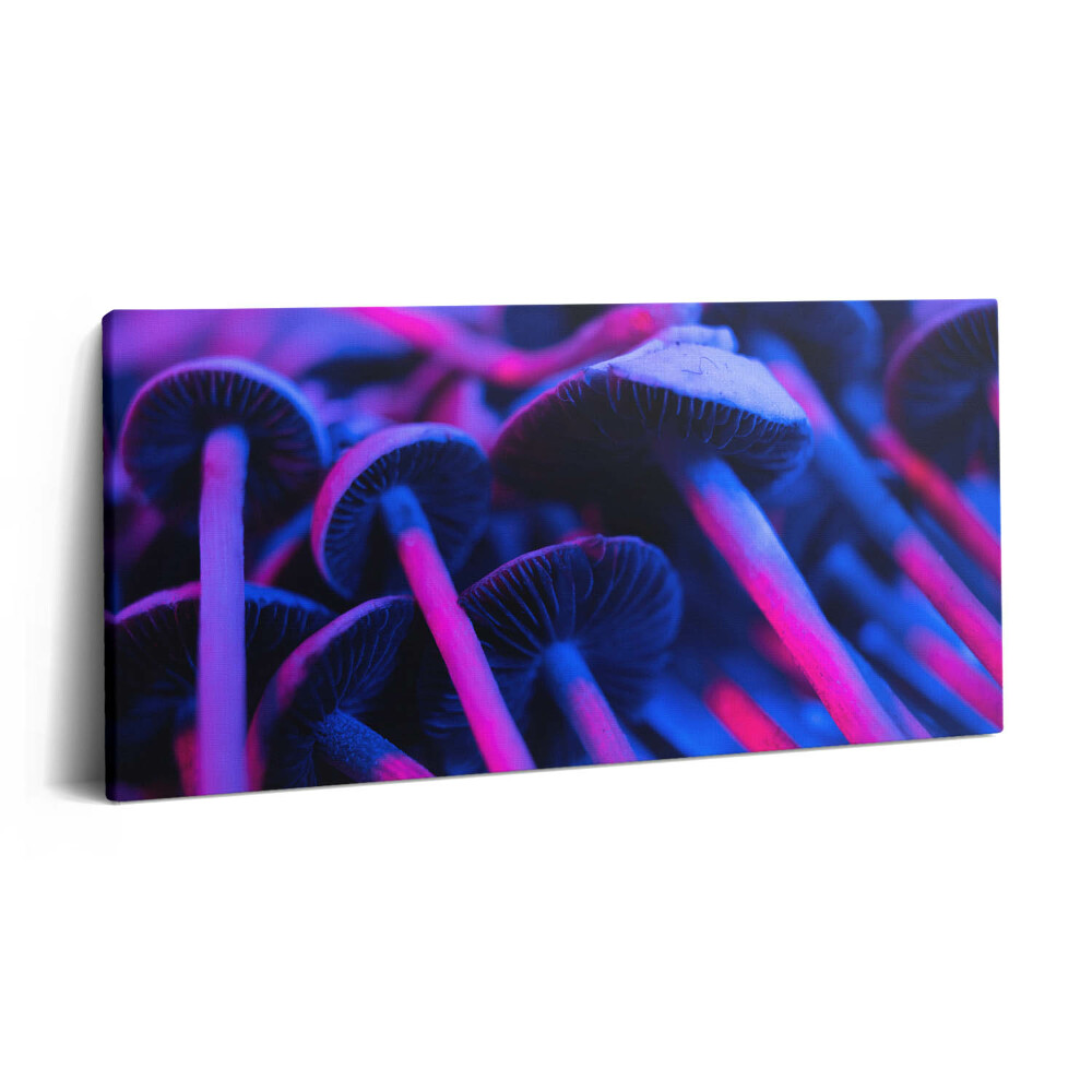 Imprimare tablou canvas 120x60 Ciuperci magice colorate