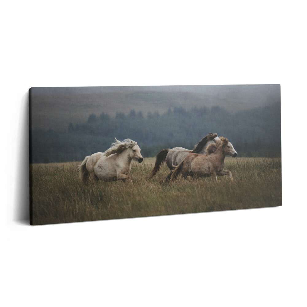 Imprimare tablou canvas 120x60 Caii galopând în sus