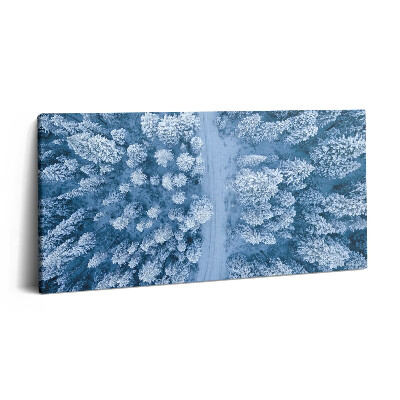 Imprimare tablou canvas 120x60 Vedere aeriană a pădurii. Drone