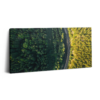 Imprimare tablou canvas 120x60 Pădurea dintr-o dronă - Muntele Śnieżka