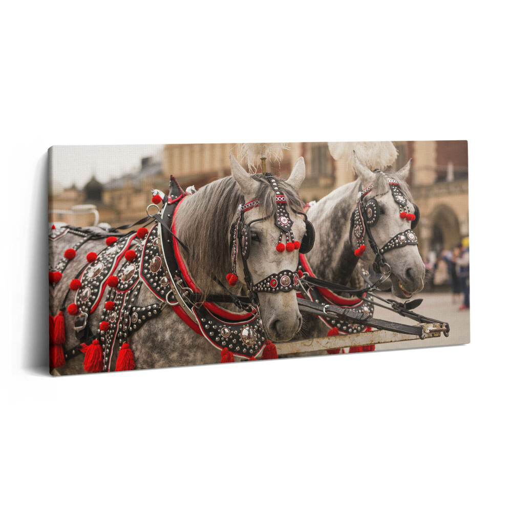 Imprimare tablou canvas 120x60 Cai frumoși în Cracovia