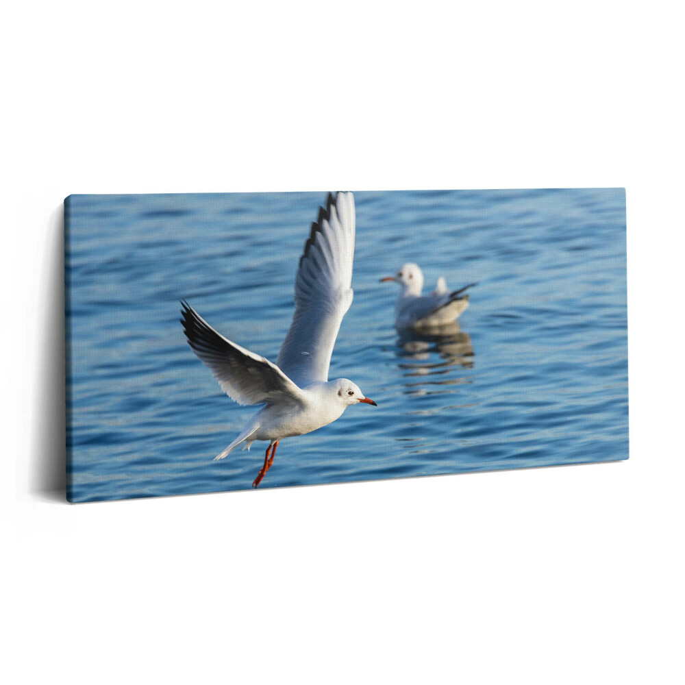 Imprimare tablou canvas 120x60 Pescărușii din Gdynia