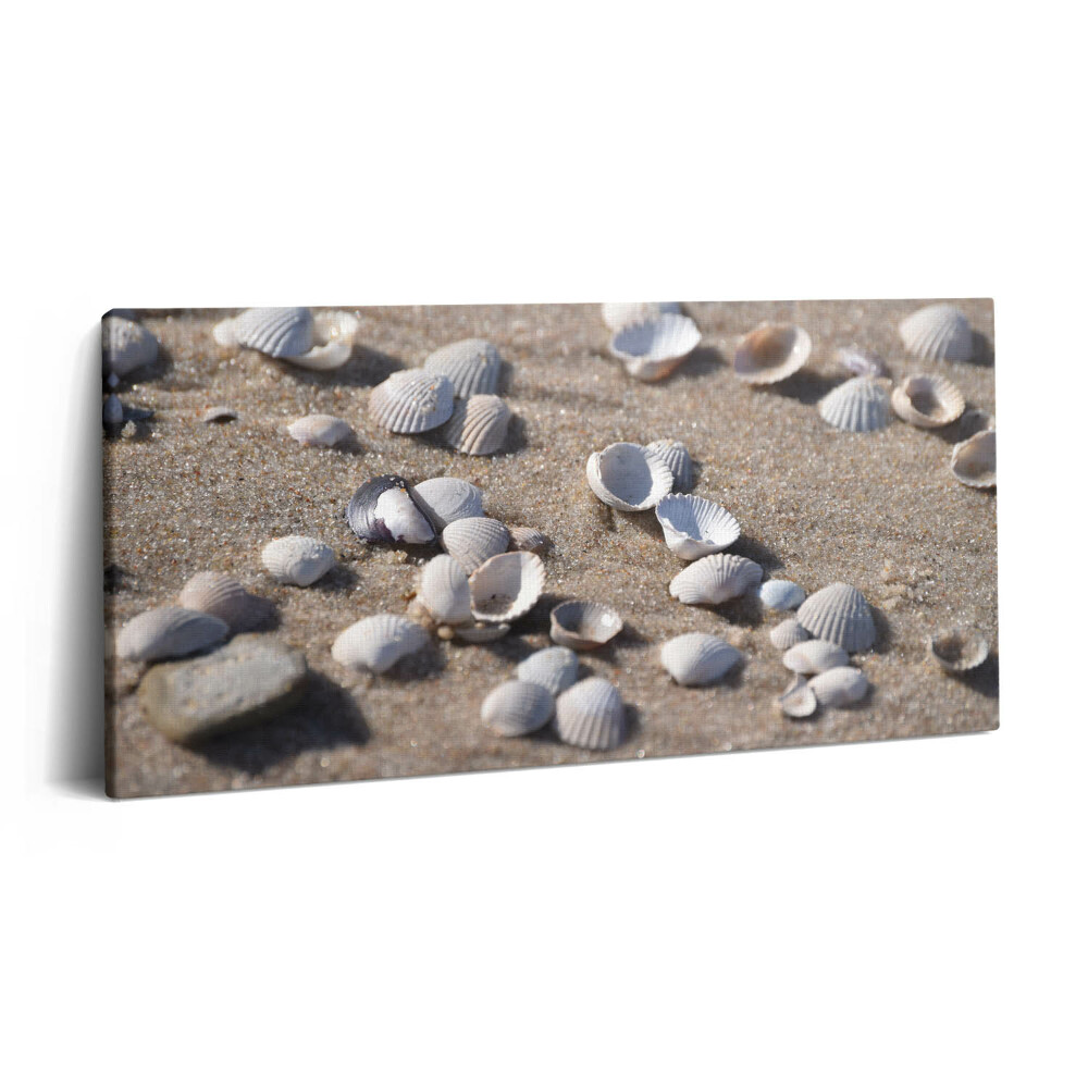 Imprimare tablou canvas 120x60 Scoici pe plajă