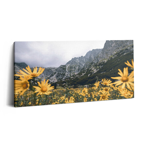 Imprimare tablou canvas 120x60 Pajiște cu flori din Munții Tatra