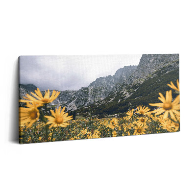 Imprimare tablou canvas 120x60 Pajiște cu flori din Munții Tatra