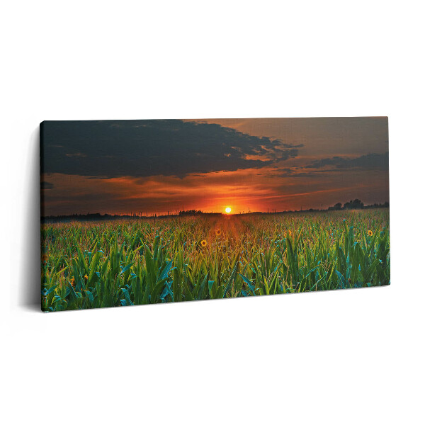 Imprimare tablou canvas 120x60 Floarea-soarelui în pajiște