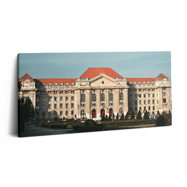 Imprimare tablou canvas 120x60 Universitatea din Debrețin