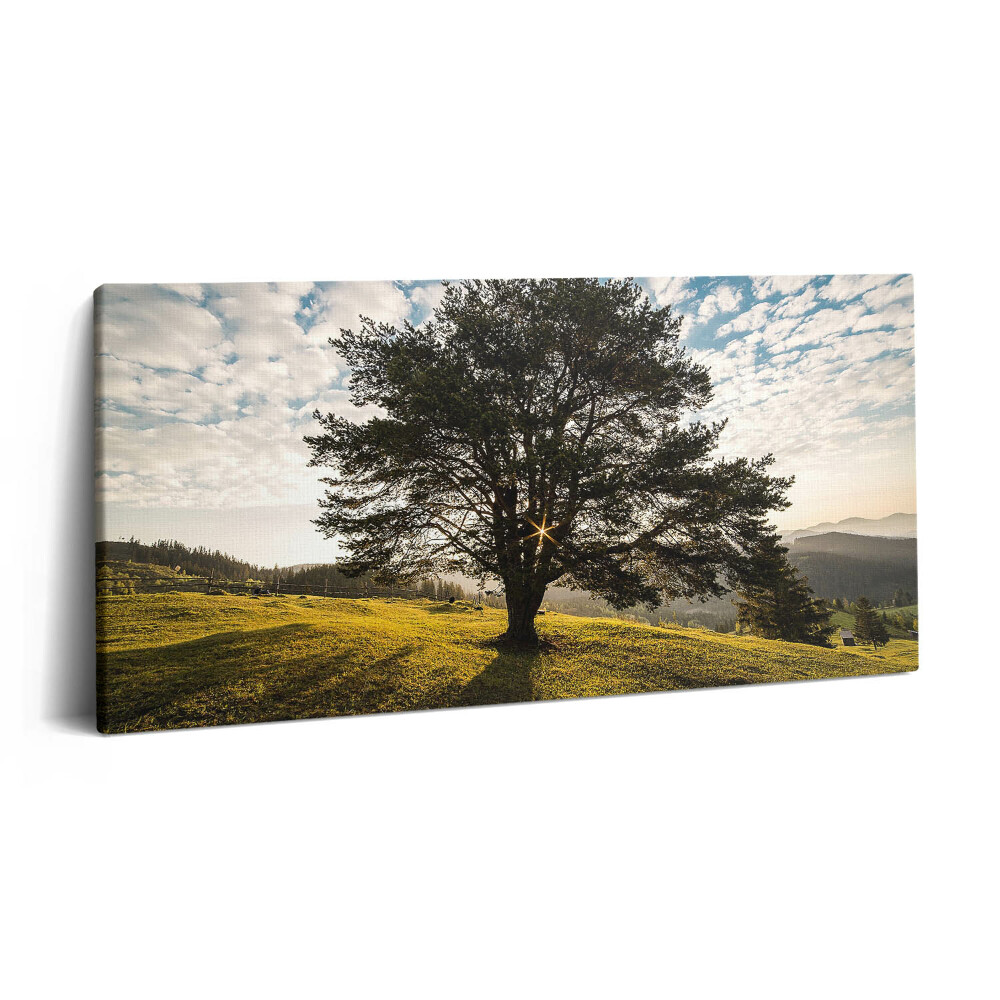 Imprimare tablou canvas 120x60 Un copac cu frunze pe un deal