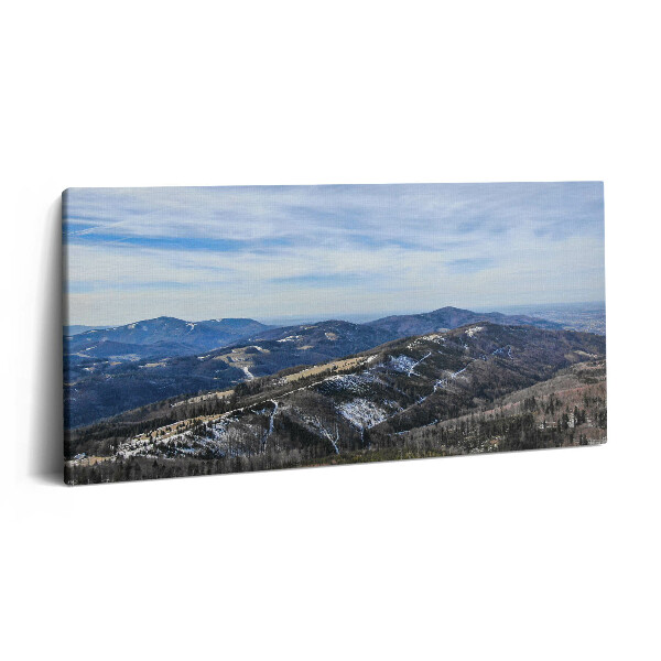 Imprimare tablou canvas 120x60 Peisajul din Równica Ustroń