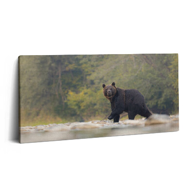 Imprimare tablou canvas 120x60 Urs în Munții Bieszczady