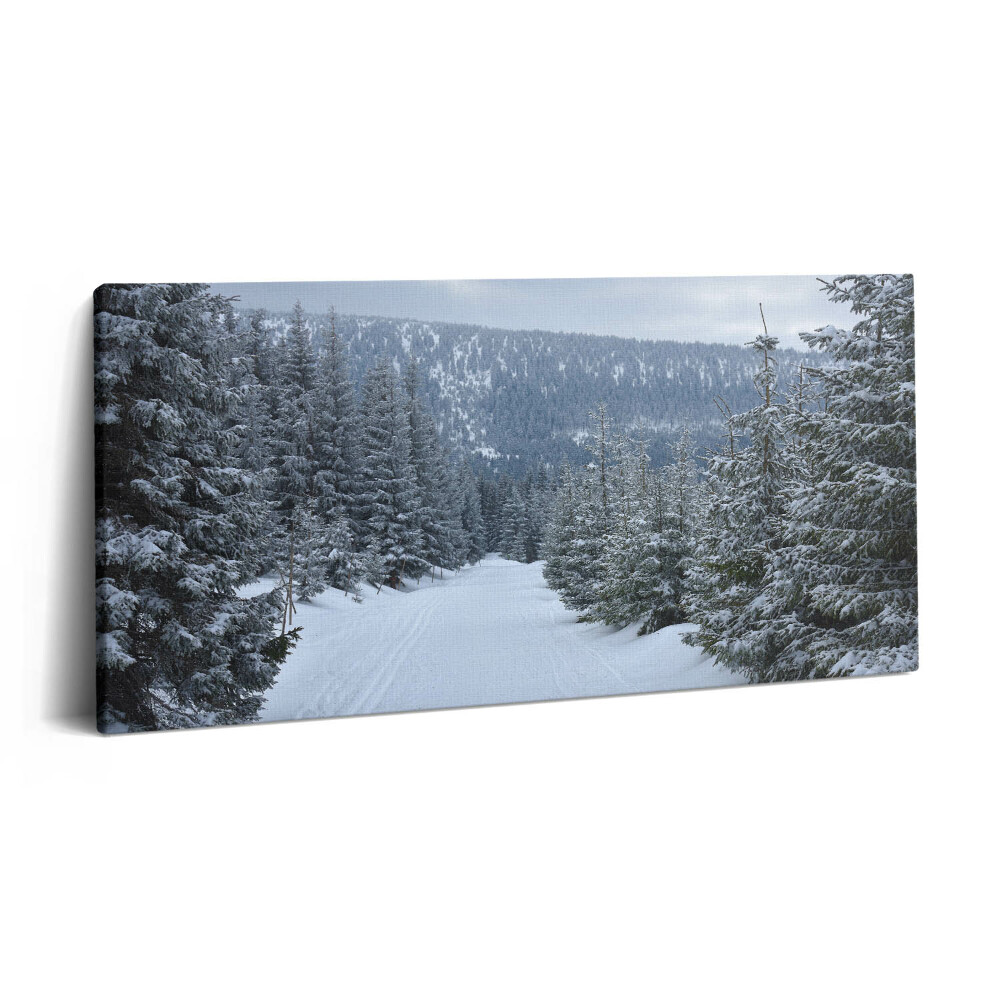 Imprimare tablou canvas 120x60 Munții Giganți Cehi în timpul iernii