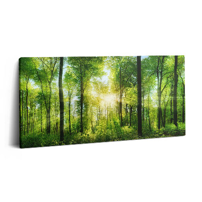 Imprimare tablou canvas 120x60 Natura copacilor de pădure