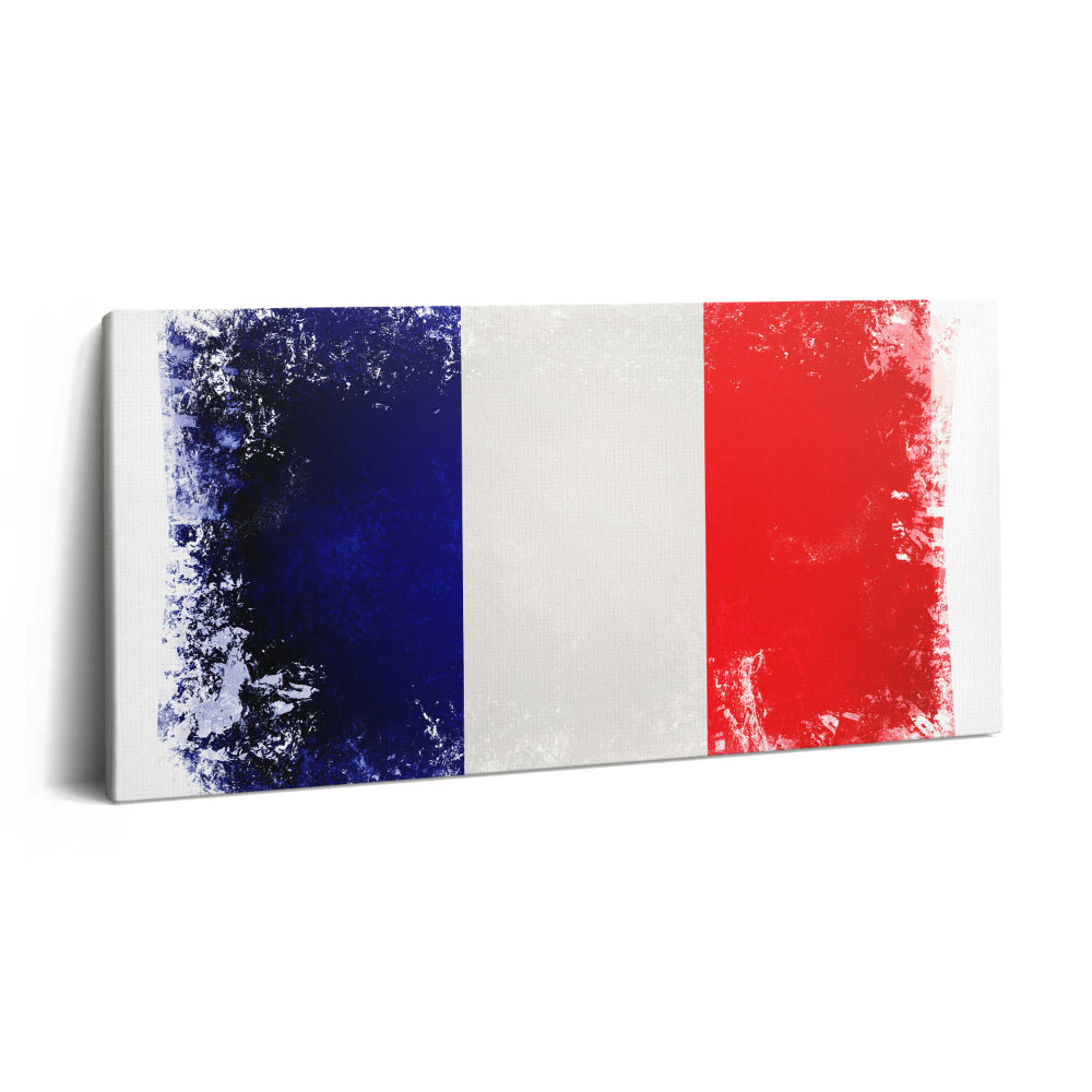 Imprimare tablou canvas 120x60 Drapelul francez