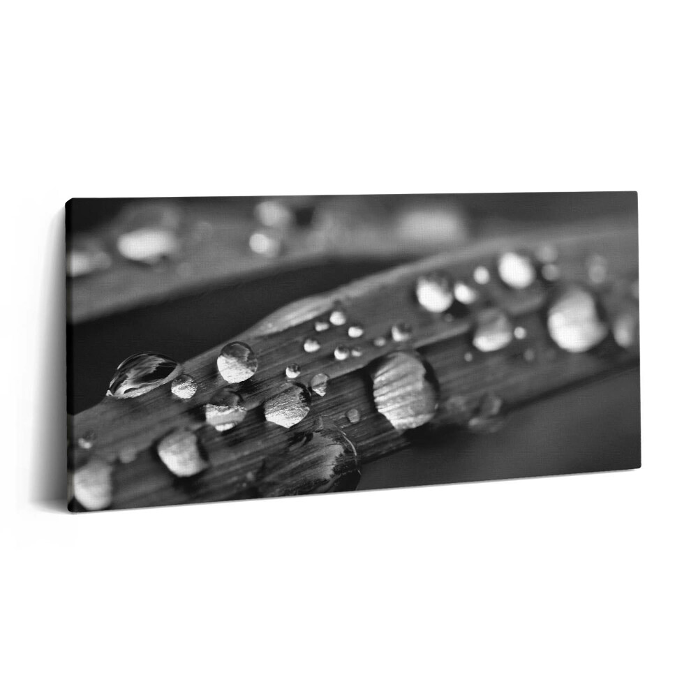 Imprimare tablou canvas 120x60 Frunză de trandafir alb-negru