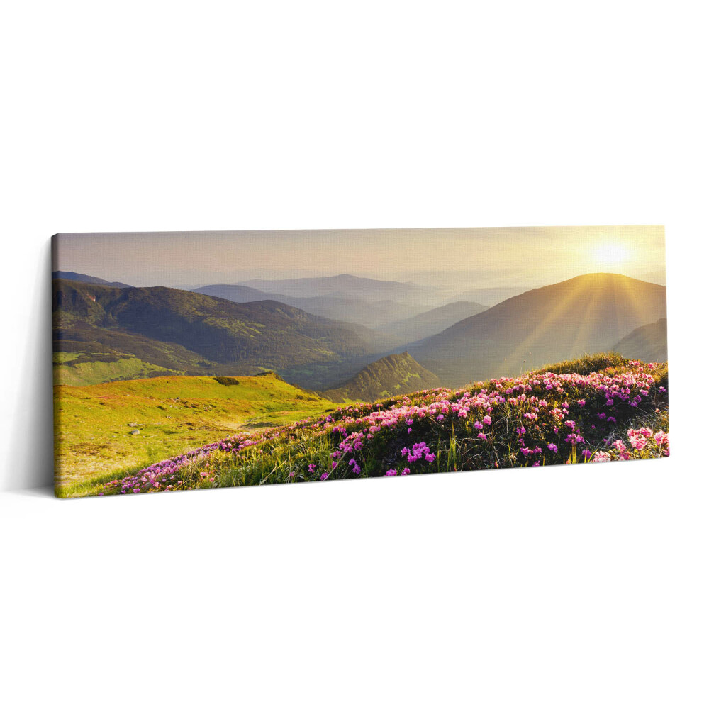 Print pe canvas 125x50 Munți și o pajiște cu flori