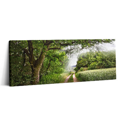 Print pe canvas 125x50 Căi printre copaci și raze de soare