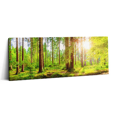 Print pe canvas 125x50 Pădurea la soare