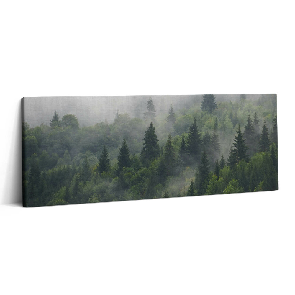 Print pe canvas 125x50 Peisaj forestier în ceață
