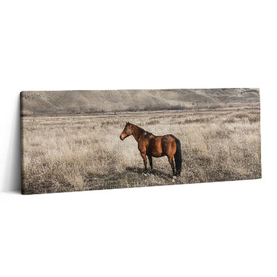 Print pe canvas 125x50 Armăsar în iarbă