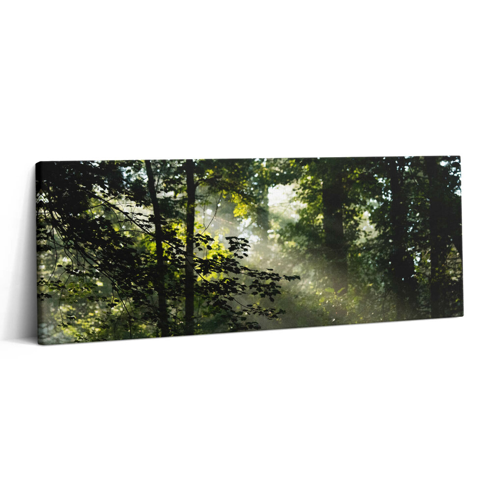 Print pe canvas 125x50 Razele soarelui și copacii