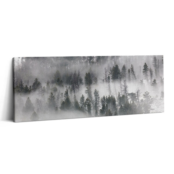 Print pe canvas 125x50 Peisaj de pădure încețoșată