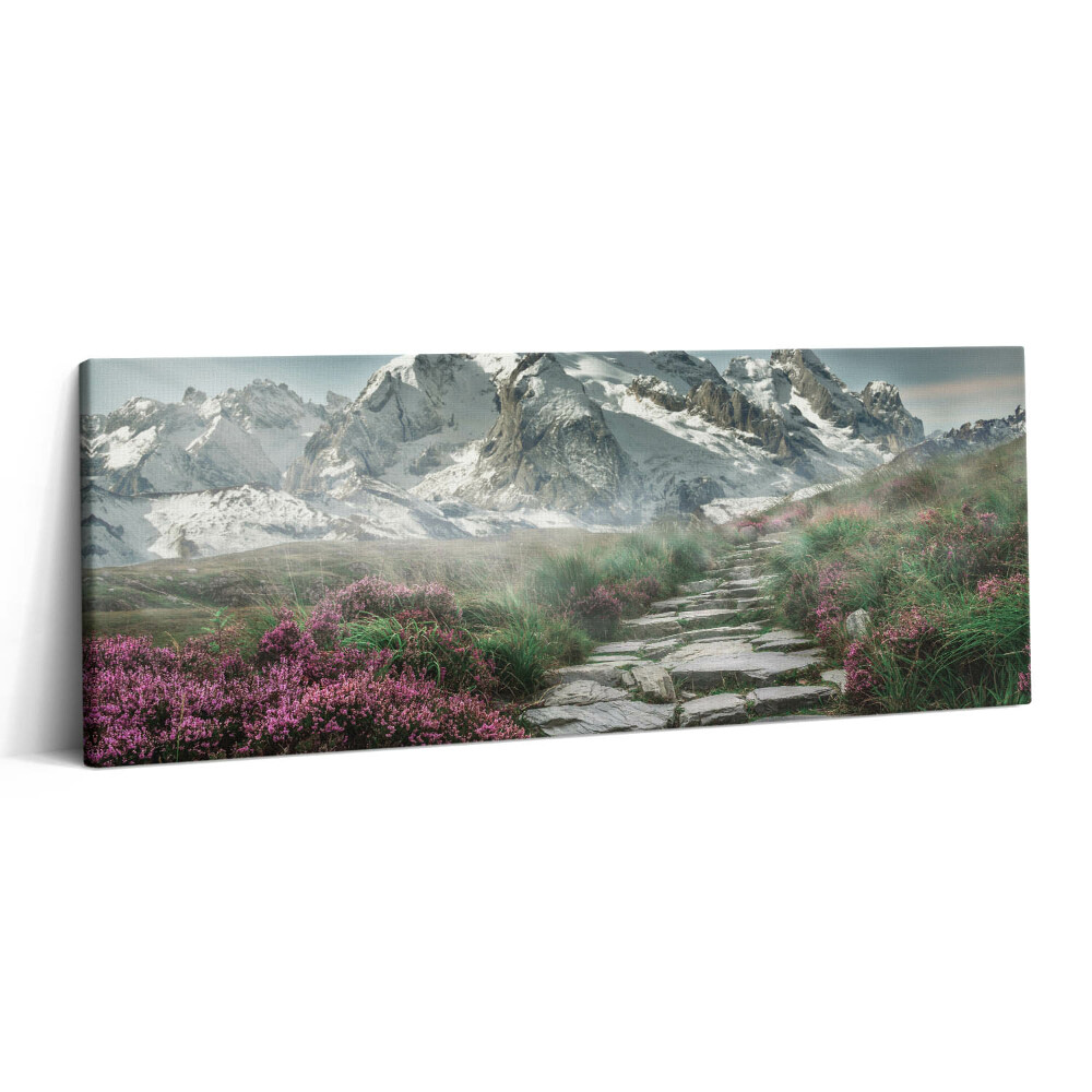 Print pe canvas 125x50 Un drum de piatră în munți