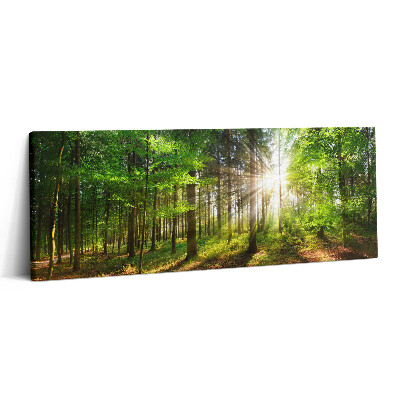Print pe canvas 125x50 Pădure și răsărit de soare