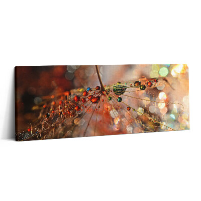 Print pe canvas 125x50 Păpădie și rouă