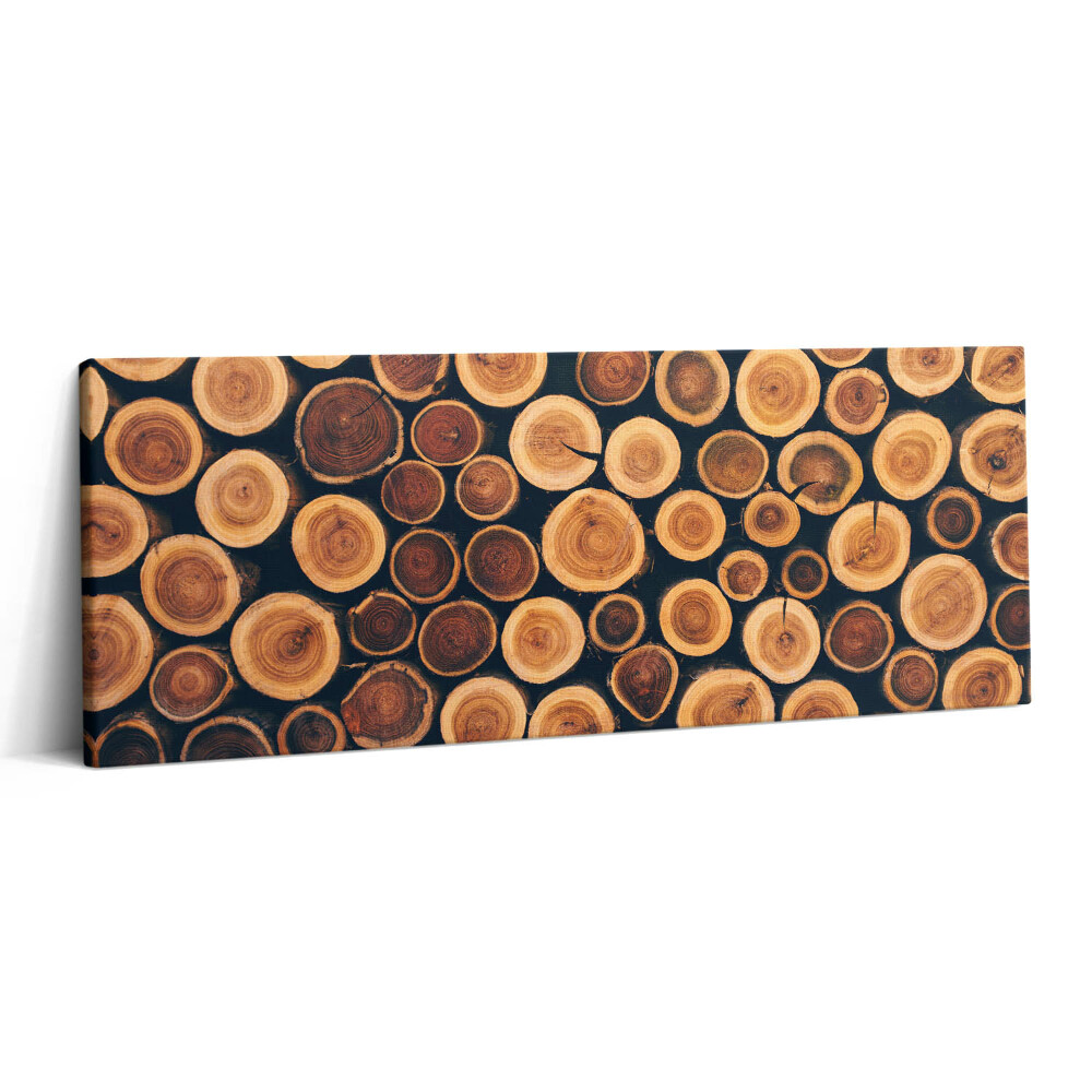 Print pe canvas 125x50 Trunchiuri de copaci din lemn