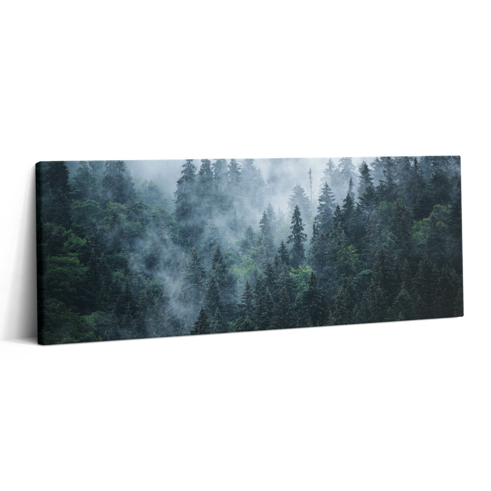 Print pe canvas 125x50 Peisaj montan încețoșat