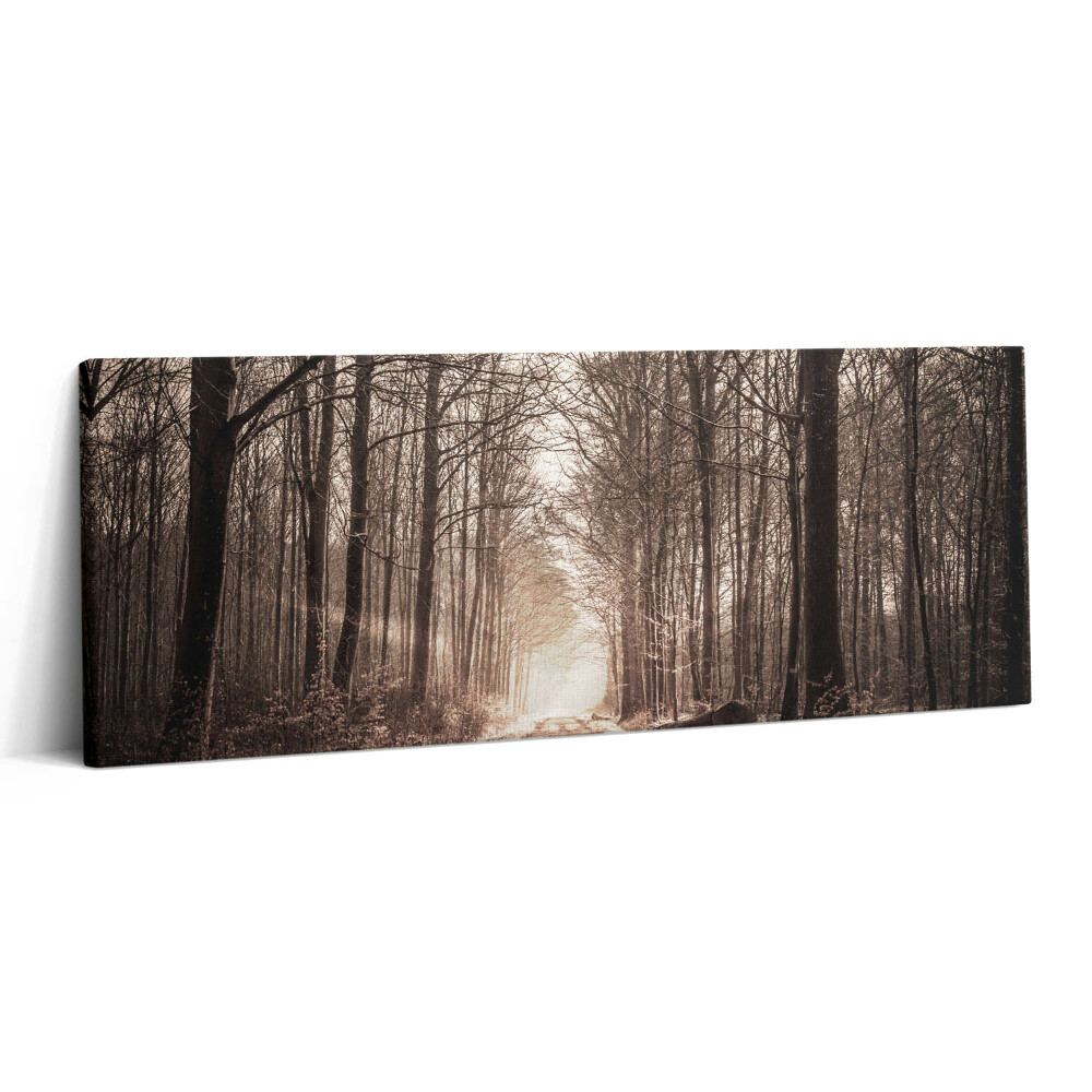 Print pe canvas 125x50 Cale de pădure în tonuri sepia