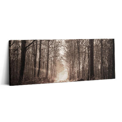 Print pe canvas 125x50 Cale de pădure în tonuri sepia