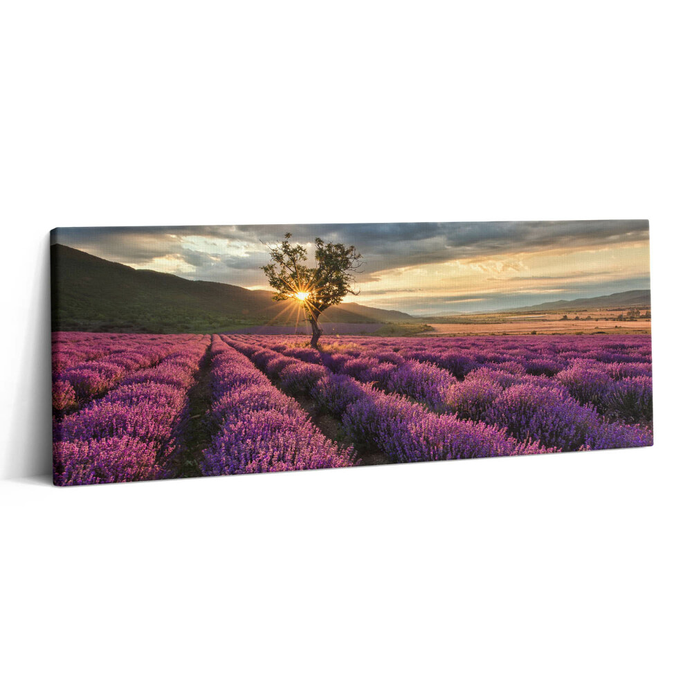 Print pe canvas 125x50 Peisaj de câmp de lavandă