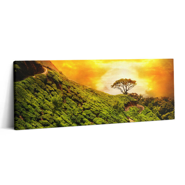 Print pe canvas 125x50 Dealul Ceaiului