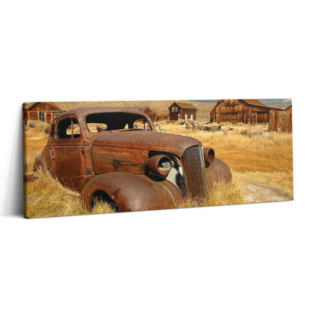 Print pe canvas 125x50 Parcul de stat Bodie