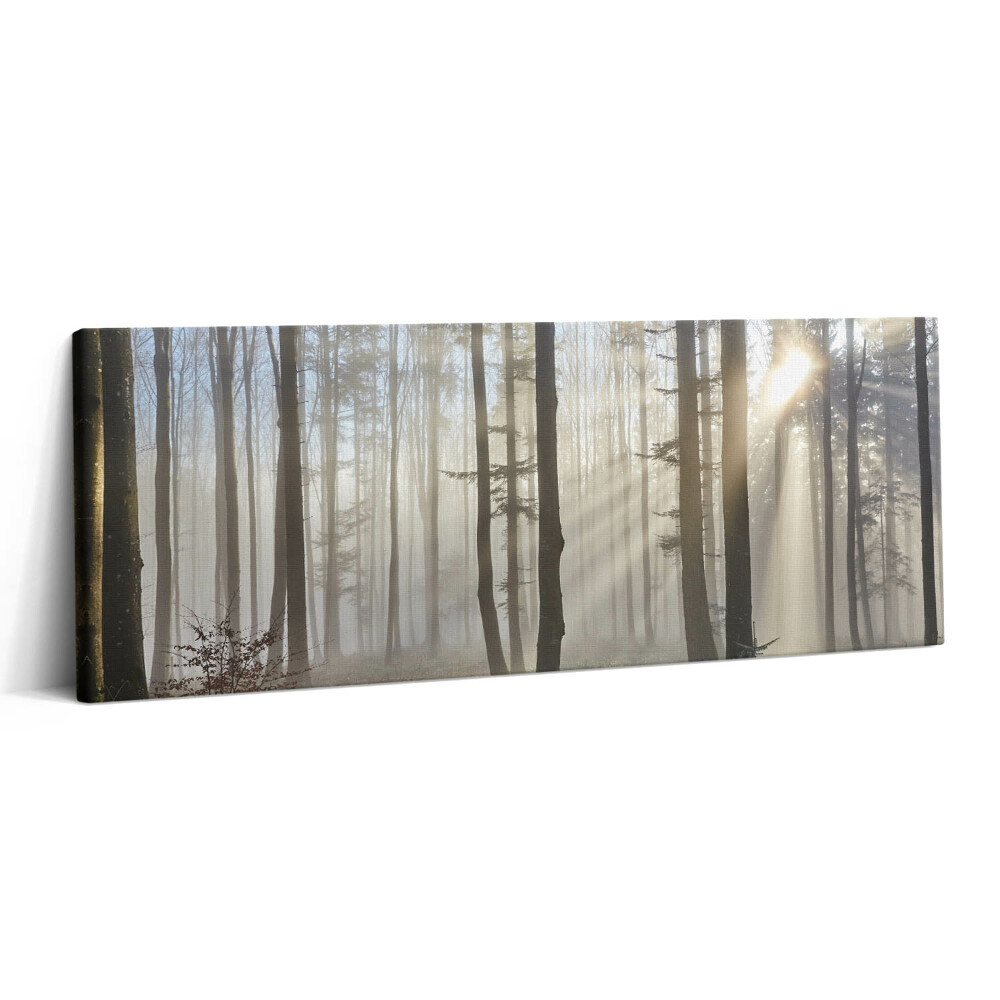 Print pe canvas 125x50 Pădurea în ceață