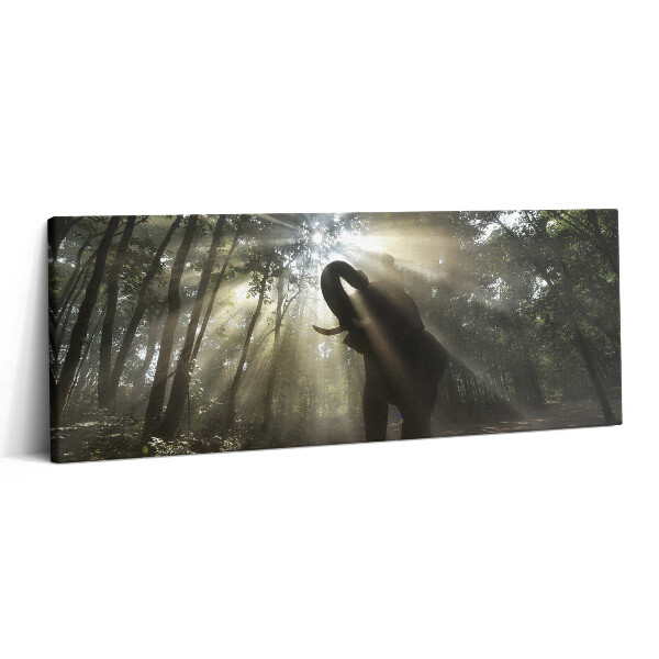 Print pe canvas 125x50 Elefantul în junglă