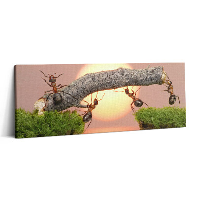 Print pe canvas 125x50 Furnici pe un trunchi de copac