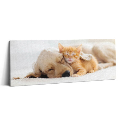 Print pe canvas 125x50 Animale care dorm, pisică și câine