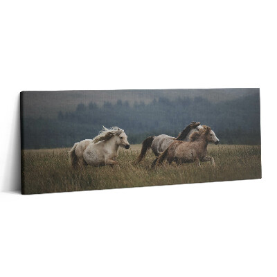 Print pe canvas 125x50 Caii galopând în sus