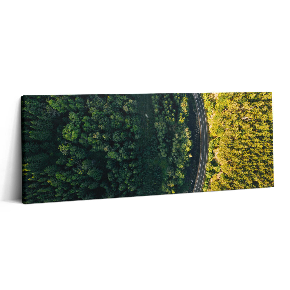 Print pe canvas 125x50 Pădurea dintr-o dronă - Muntele Śnieżka