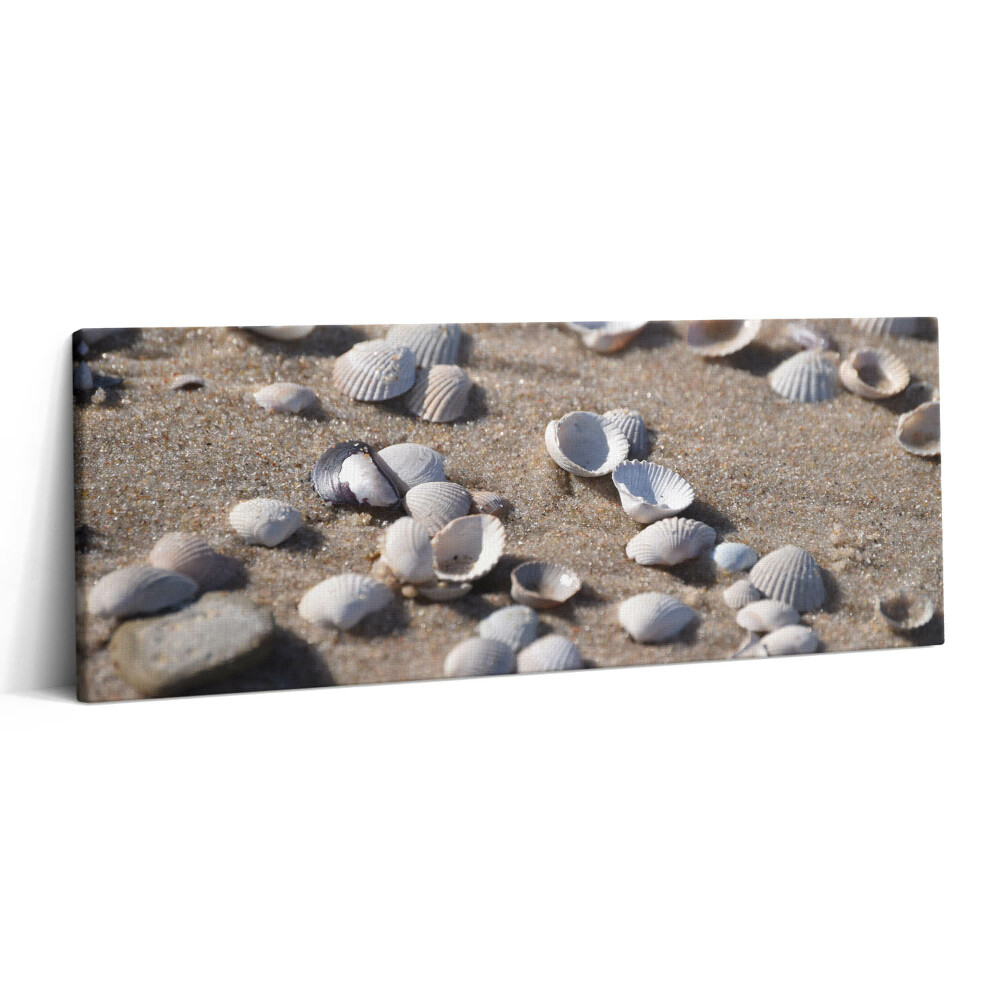 Print pe canvas 125x50 Scoici pe plajă